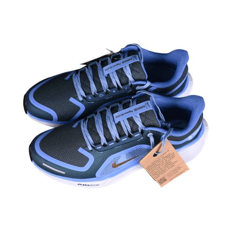 Nike Air Zoom Pegasus 41 Shoes